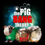 Pig Bang Theory