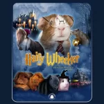 Hairy Wheeker and the Philosophers Bowl