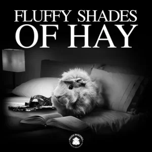 Fluffy Shades of Hay