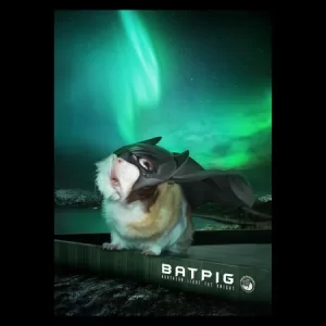 Northern Light Fat Knight