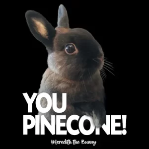 Meredith the Bunny "You pinecone!"