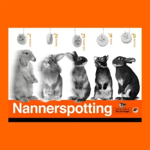 Nannerspotting