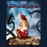 Spiderpig - No Hay Home