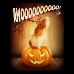 Guinea Pig Awoooooooooo!